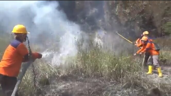 Tim Gabungan Berhasil Padamkan Kebakaran Hutan Di Kawasan Gunung Bromo