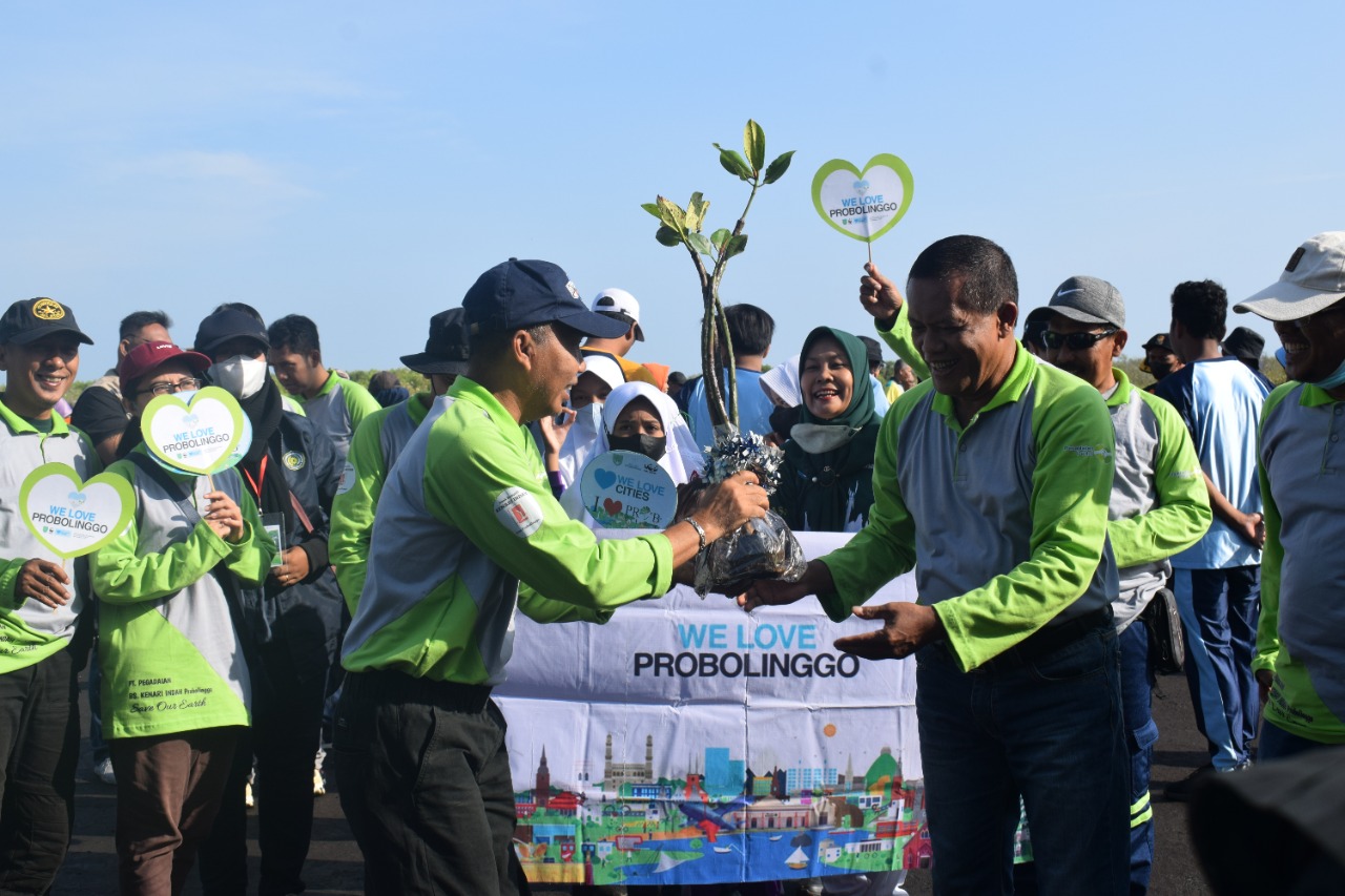 Peduli Lingkungan Pegadaian Probolinggo Tanam Bibit Mangrove Di