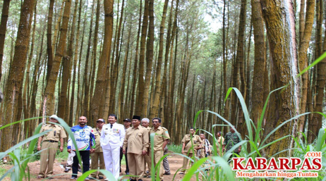 
Hutan Pinus Tutur Ini Cocok Buat Kamu yang Hobi Fotografi dan Traveling