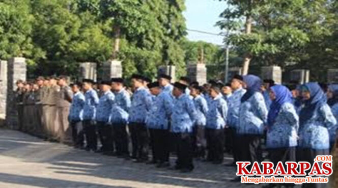 
Tenaga Sukwan di Probolinggo Terancam Dipecat, Ternyata Ini Alasanya