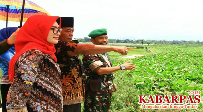 
Harapkan Jadi Tempat Wisata Baru, Bupati Cantik Ini Tinjau Rawa Tirta