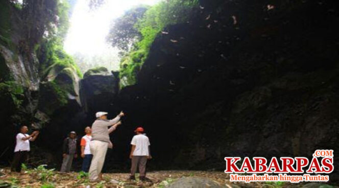
Pemkab Probolinggo Segera Kembangkan Destinasi Wisata Goa Batman