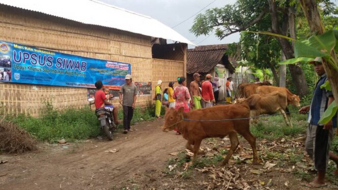 
Pemkab Probolinggo Galakkan Program Upaya Khusus Sapi Indukan Wajib Bunting