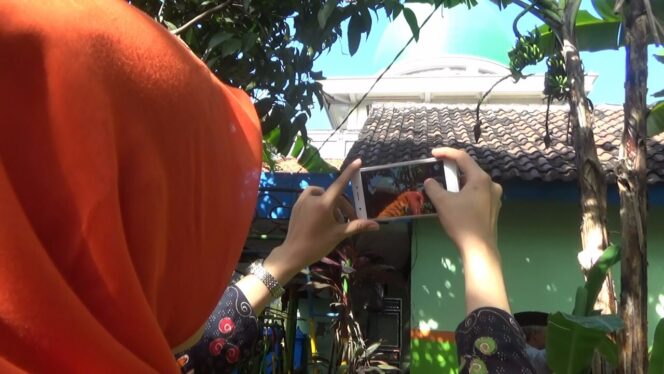 
Pohon Pisang Miliki Dua Buah Tandan dan Tiga Jantung Pisang Hebohkan Warga Sidoarjo