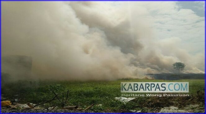 
Alang-alang di Pasuruan Terbakar, Warga dan Santri Sempat Panik