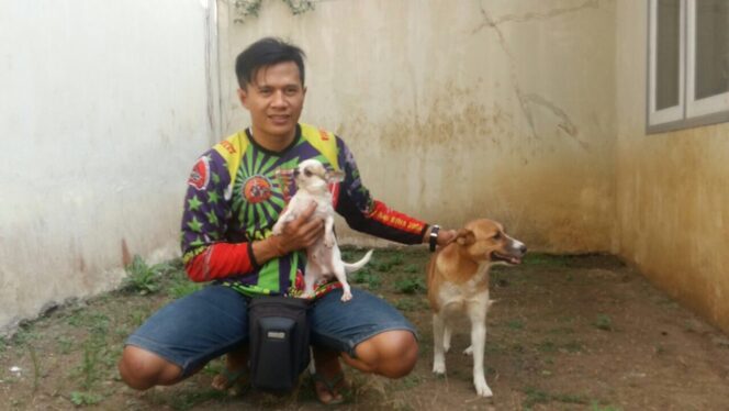 
Pelatih Anjing Ini Himbau Segera Eksekusi Pitbull Penyerang Anak Berusia 8 Tahun
