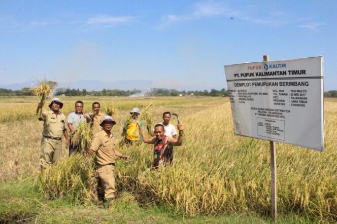 
Tingkatkan Produksi Pertanian, DKPP Probolinggo Gandeng Pupuk Kaltim