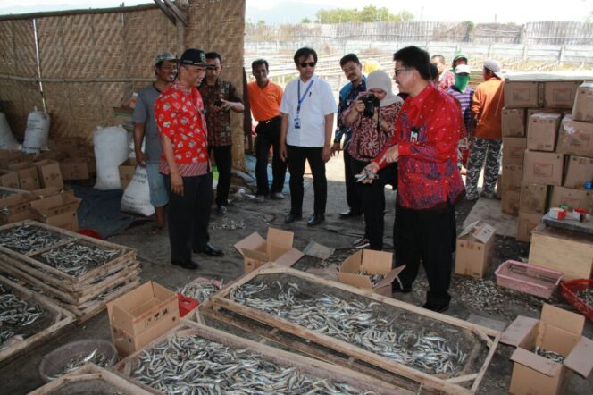 
Pantau Perkembangan Harga Pangan, Pemkab Rilis Aplikasi PIHPS