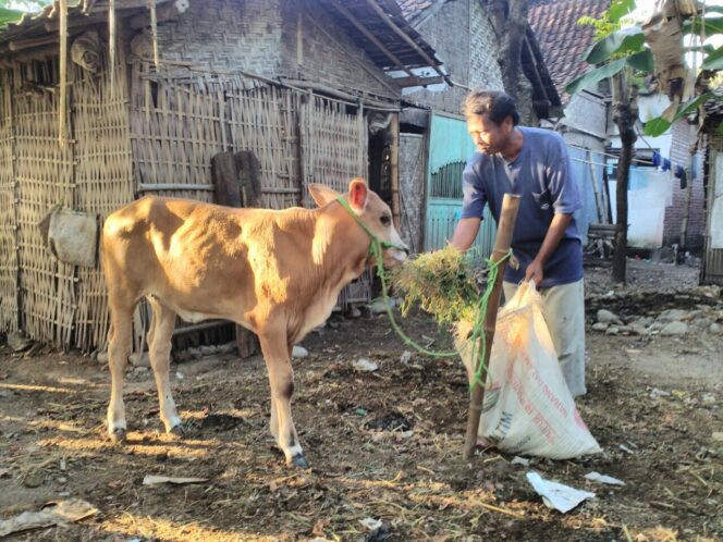 
Baznas Probolinggo Gulirkan Program Pemberdayaan Ekonomi Umat