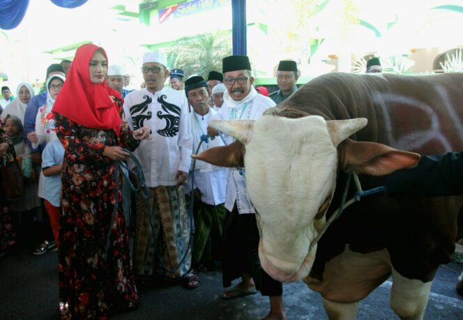 
Ini Pesan Bupati Cantik Asal Probolinggo Saat Serahkan Hewan Kurban