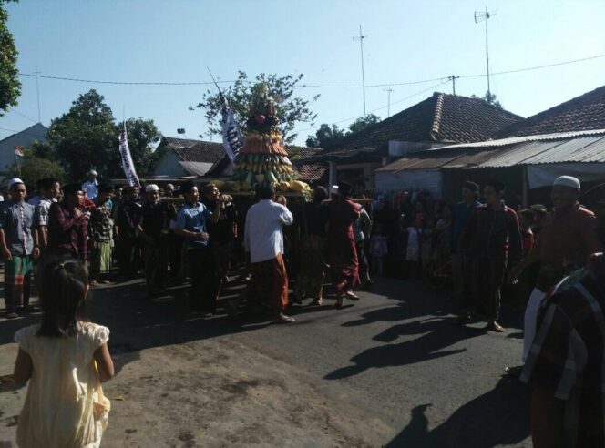 
Muharraman, Warga Probolinggo Gelar Kirap Jodang