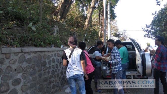 
Wisatawan Pantai Watu Dodol Berebut Beri Makan Monyet di Pinggir Jalan