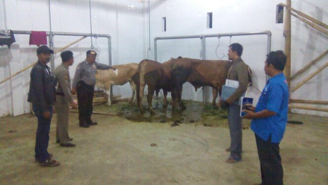 
Pemkab Probolinggo Lakukan Pengawasan Para Jagal Potong Ternak, Ternyata Ini Tujuannya