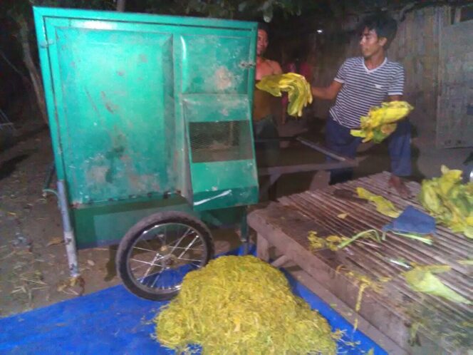 
Mesin Rajang Ini Mampu Tingkatkan Mutu Tembakau