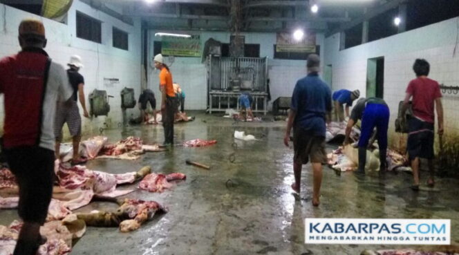 
Para Jagal Banyuwangi Keluhkan Larangan Potong Sapi Betina Usia Produktif