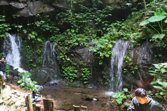 
Melihat Lebih Dekat Potensi Wisata di Desa Kalipucang