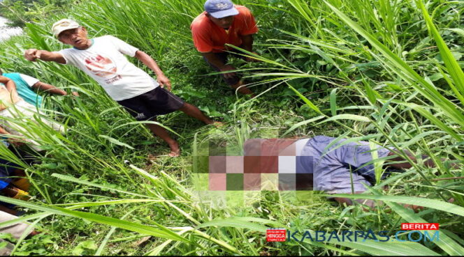 
Sempat Dilaporkan Hilang, Kakek Asal Grati Akhirnya Ditemukan Tewas di Kebun Tebu