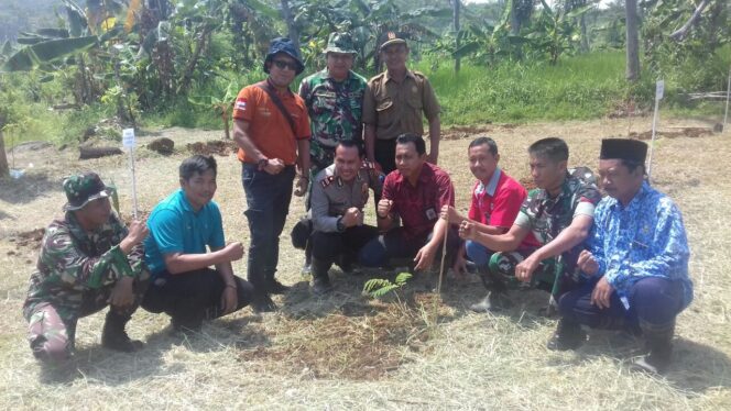 
Gandeng Karang Taruna, CSR PT PJB UP Paiton Tanam Ribuan Pohon Berbuah