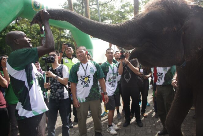
Ribuan Peserta Ramaikan Safari Run 2018