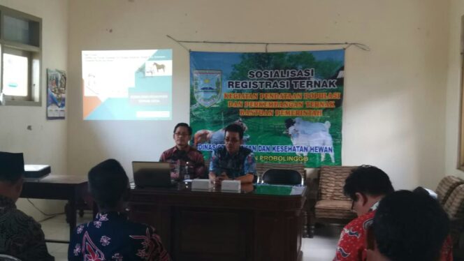 
Pemkab Probolinggo Terapkan Registrasi Ternak, Ternyata Ini Alasannya
