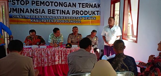 
Pemkab Probolinggo Minta Masyarakat Tidak Potong Ternak Betina Produktif