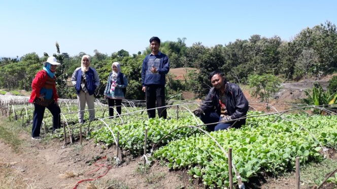 
Kebutuhan Benih Tembakau di Probolinggo Dipenuhi Penangkar dan Petani