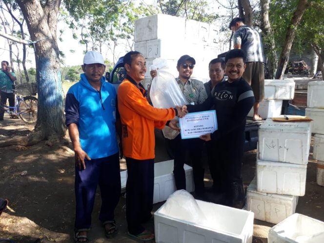 
Diskan Probolinggo Tebar 8.000 Ekor Bibit Ikan Kerapu