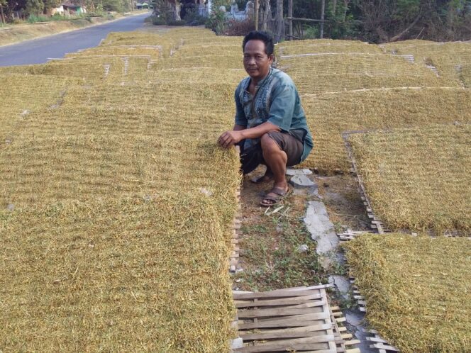 
Harga Tembakau Tembus Rp 40 Ribu