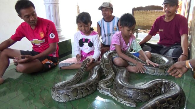 
Wow, Sekeluarga di Probolinggo Dijuluki Keluarga Ular