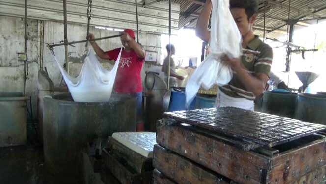 
Rupiah Terpuruk, Belasan Pengusaha Tahu di Probolinggo Terancam Ambruk