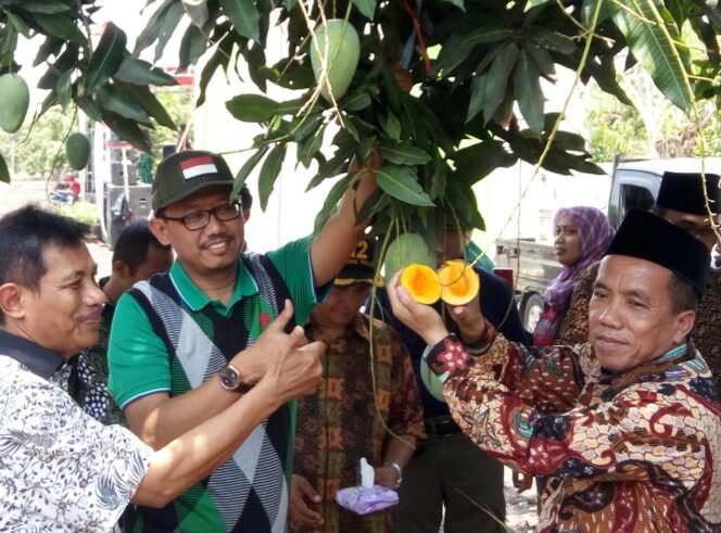 
Hadiri Festival Mangga Alpukat 21, Wabup: Jangan Sampai kualitas dan Kuantitas Mangga Menurun