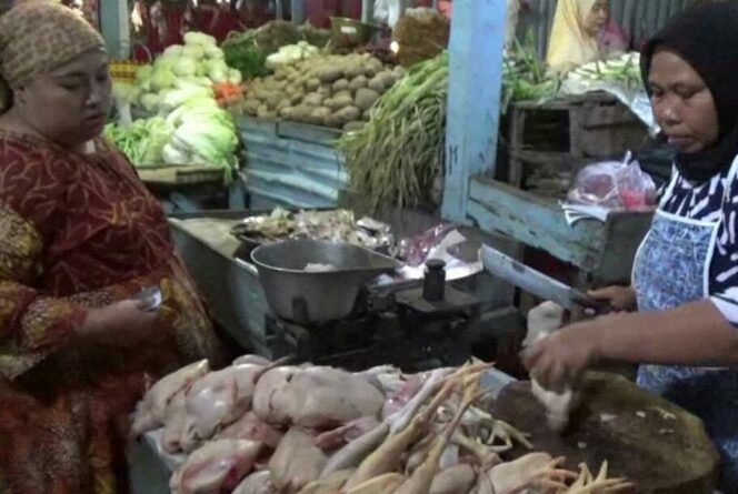 
DPKH Probolinggo Data Bahan Pangan Asal Hewan di Pasar Bayeman