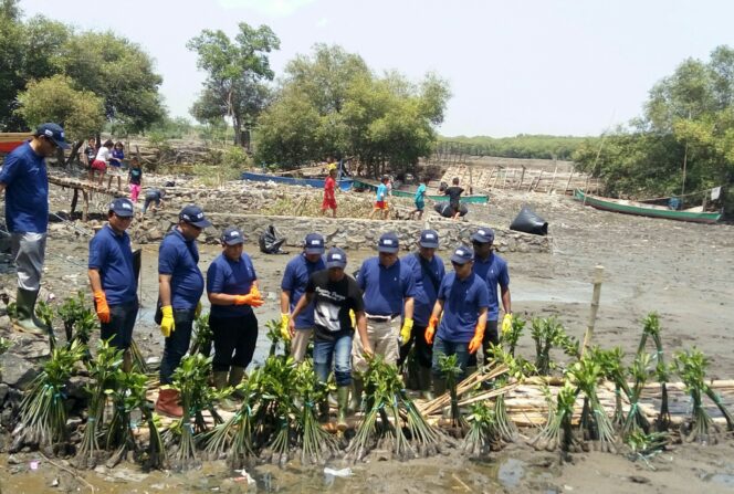 
Komitmen Tingkatkan Kualitas Lingkungan, HCML Tanam 12.000 Bibit Mangrove di Pesisir Pasuruan