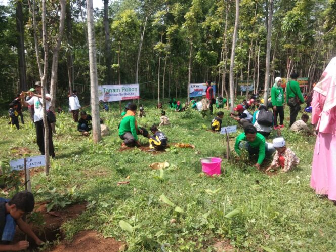 
PWI Pasuruan Beri Bantuan 2 Ribu Bibit Pohon untuk Konservasi