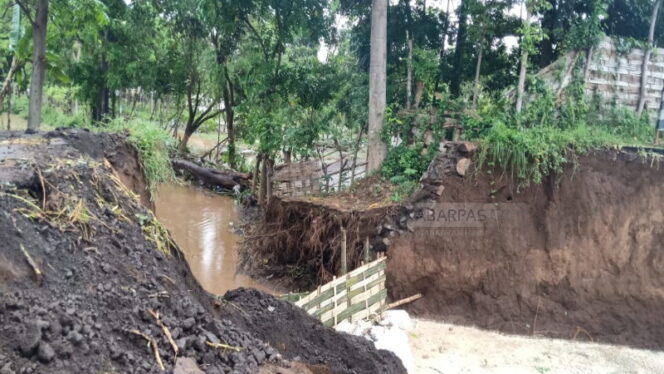 
Diguyur Hujan Deras, Tanggul Sungai Petung Ambrol