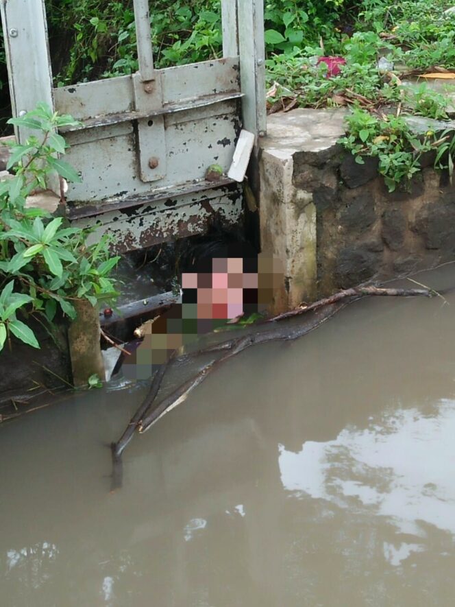 
Geger Penemuan Mayat Pria Tersangkut di Irigasi Sukorejo Pasuruan