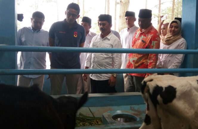 
Berkunjung ke KPSP Setia Kawan Nongkojajar, Sandiaga Disambati Petani Sapi Perah 
