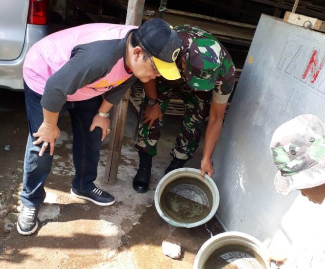 
Kasus DBD Meningkat, Pemkab Probolinggo Terus Gencarkan Program PSN 3M Plus