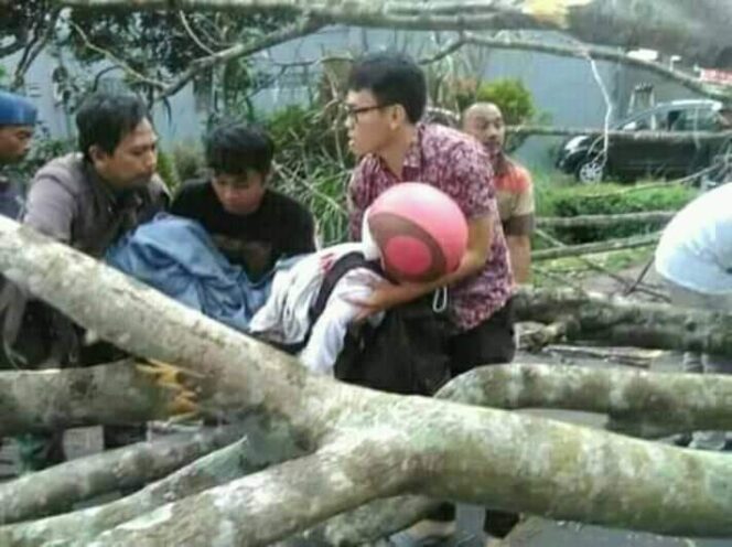 
Pulang Sekolah, Pelajar SMAN 4 Malang Tertimpa Pohon