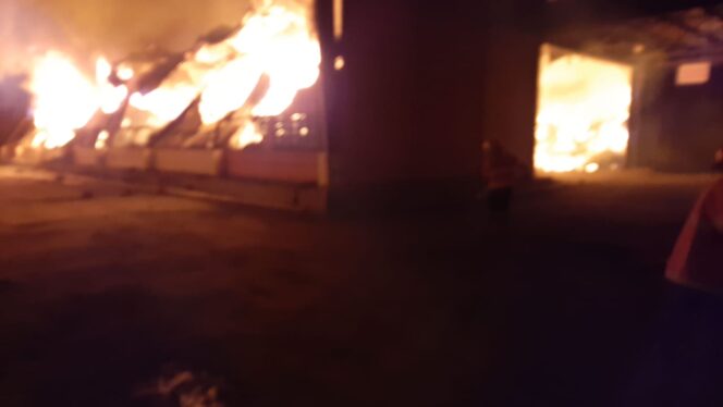 
Gudang Penyimpanan Bahan Baku Pakan Ternak di Pasuruan Ludes Terbakar