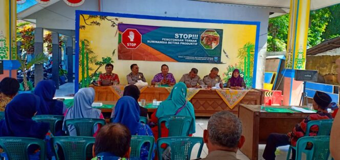 
STOP! Pemotongan Ternak Ruminansia Betina Produktif