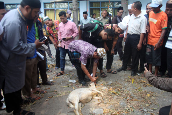 
Ratusan Jagal di Probolinggo Dilatih Sebagai Juleha