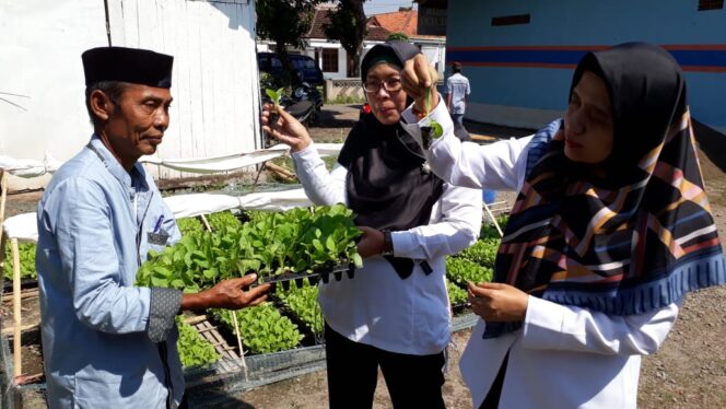 
DKPP Probolinggo Kembangkan Inovasi Pembibitan Tembakau Pola Pot Tray