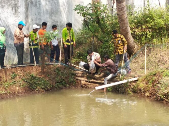 
Ini Cara BUMDes Gading Berdayakan Pemuda Karang Taruna Melalui Budidaya Ikan Lele dan Nila