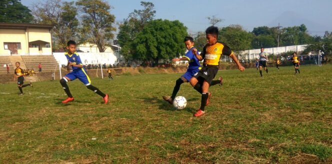 
Belasan SSB Korda Pasuruan Berebut Juara Liga Pelajar U-12 Piala Menpora 