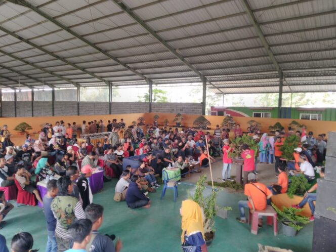 
PPBI Pasuruan Gelar Kontes Bonsai dan Suiseki Nasional