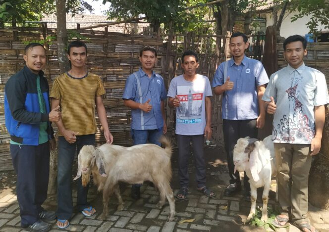 
Pabrik AQUA Keboncandi Berbagi Puluhan Hewan Kurban