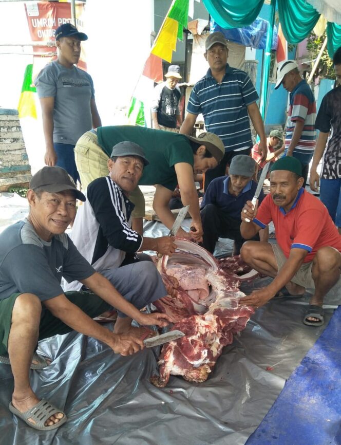 
Masjid Quba Kalianyar Sembelih 5 Ekor Sapi dan 11 Kambing