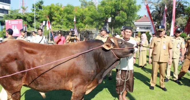 
Usai Apel Pagi, Hewan Kurban Ini Disembelih di Hadapan Ribuan Pegawai Pemkab Probolinggo