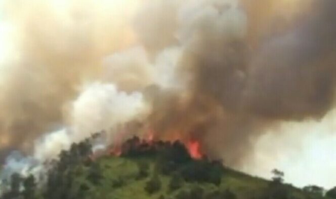 
Gunung Arjuno-Welirang Kembali Terbakar
